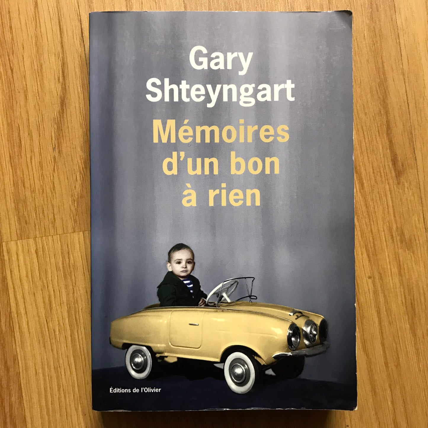 Shteyngart, Gary - Mémoires d’un bon à rien