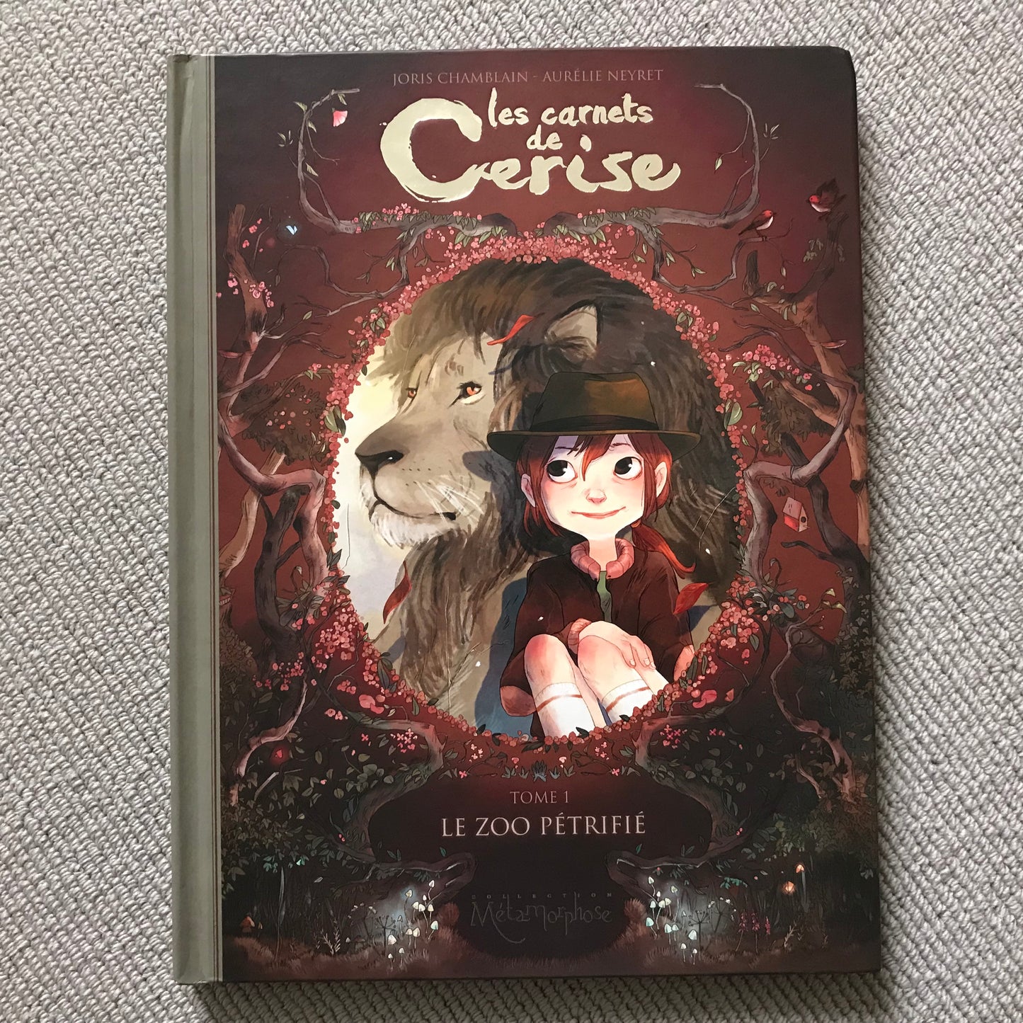 Les carnets de Cerise - J. Chamberlain & A. Neyret