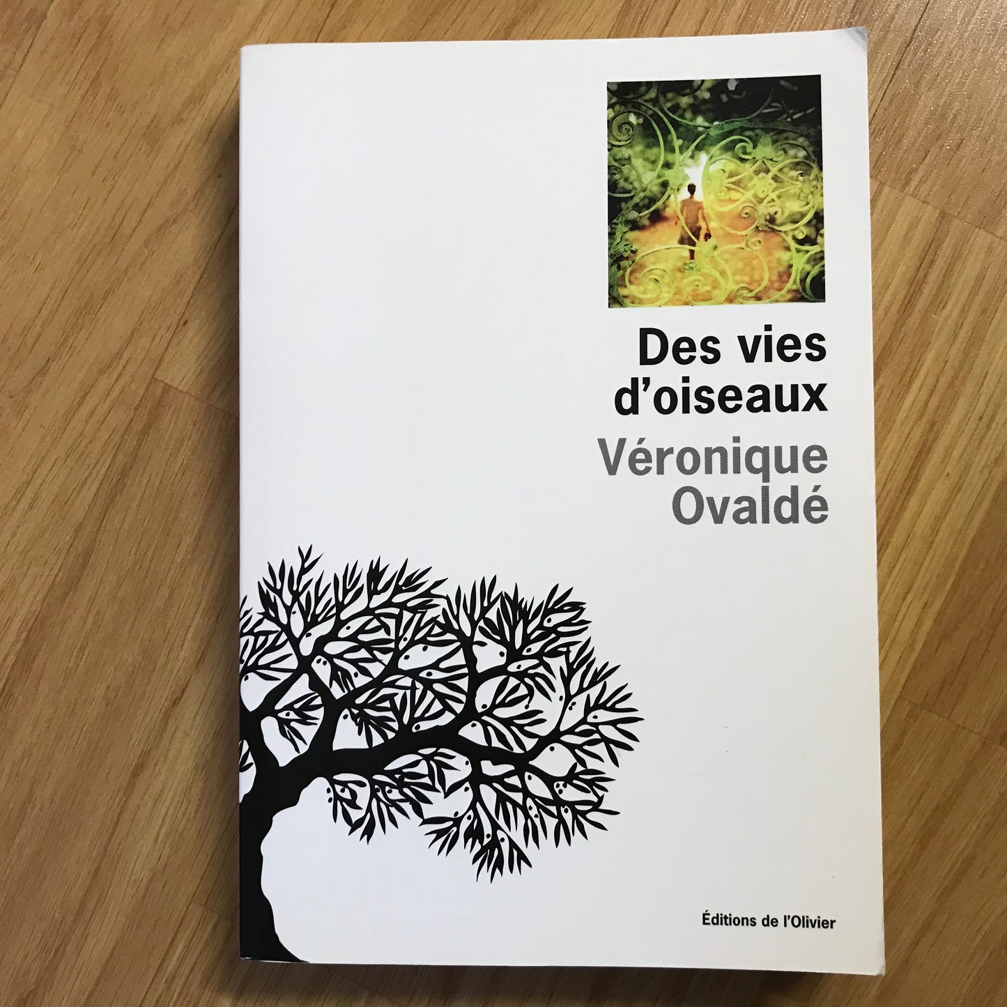 Ovaldé, Véronique - Des vies d’oiseaux