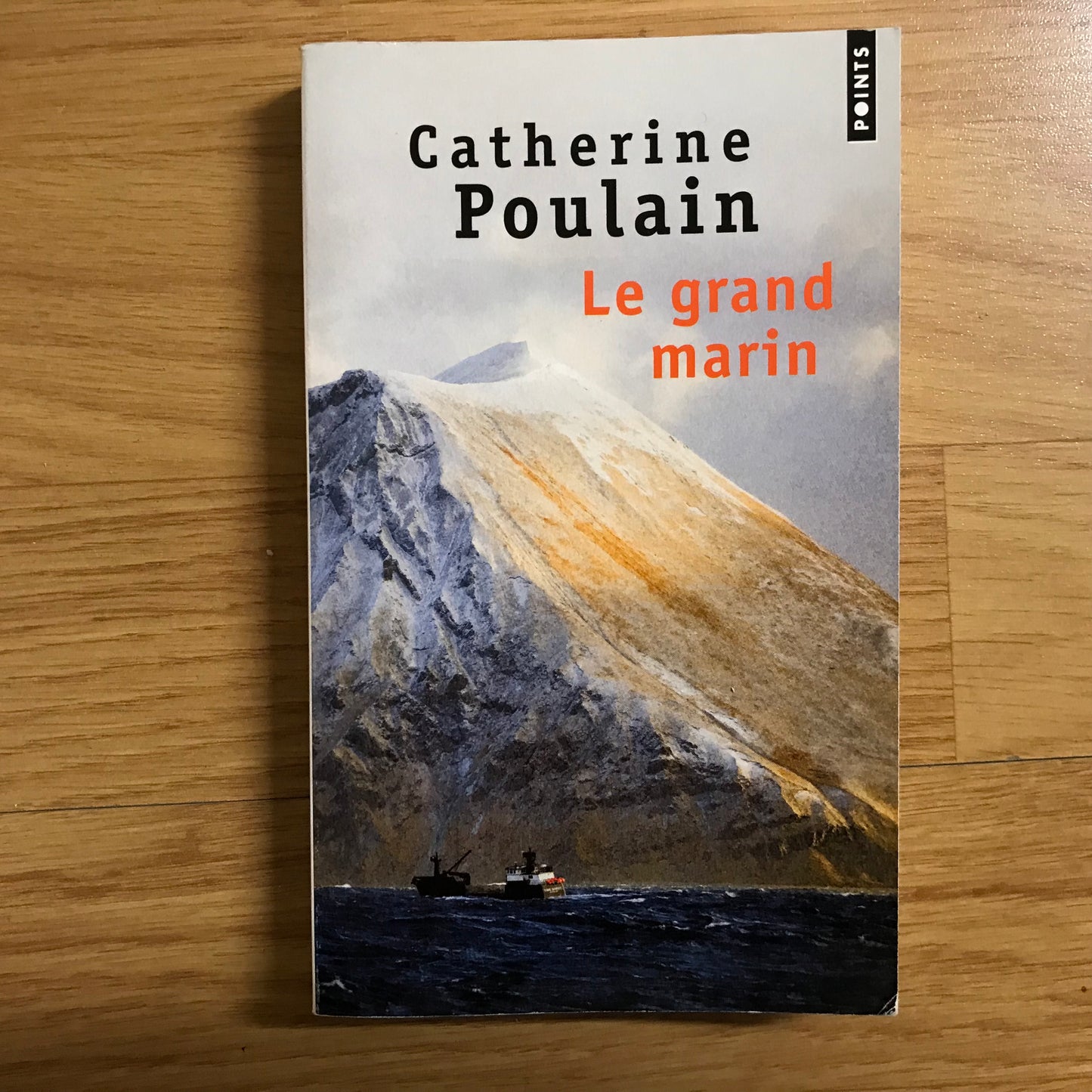 Poulain, Catherine - Le grand marin