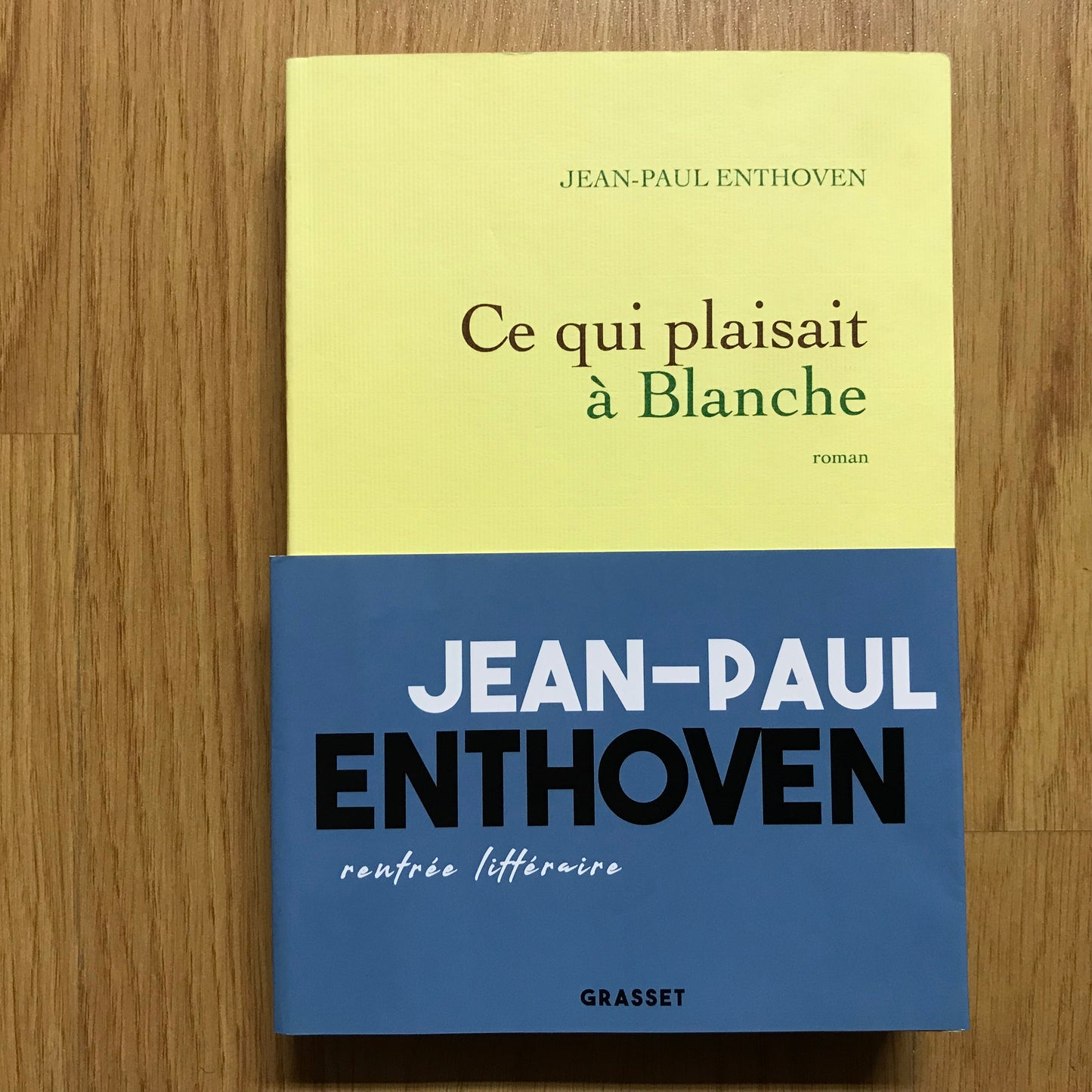 Enthoven, Jean-Paul - Ce qui plaisait à Blanche