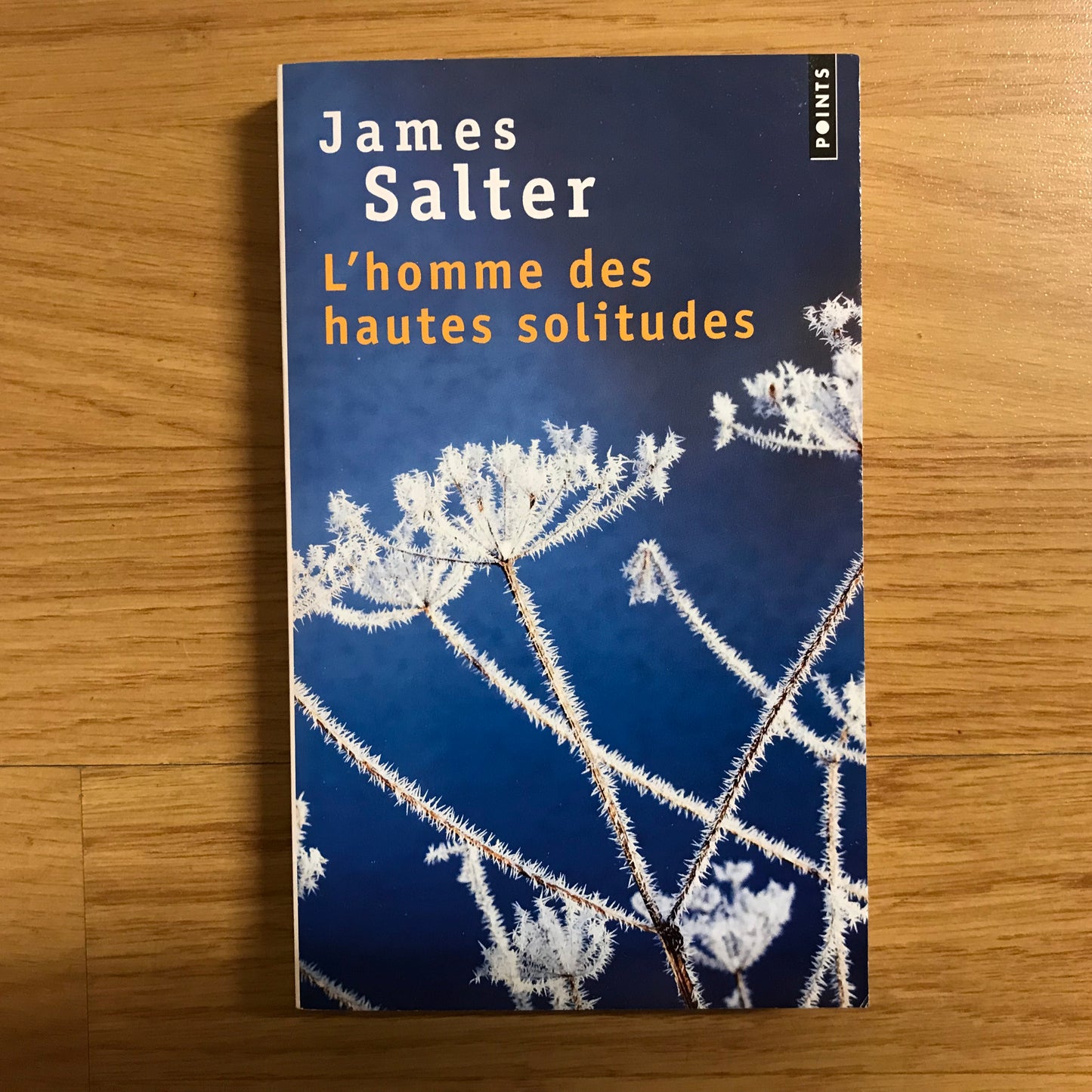 Salter, James - L’homme des hautes solitudes