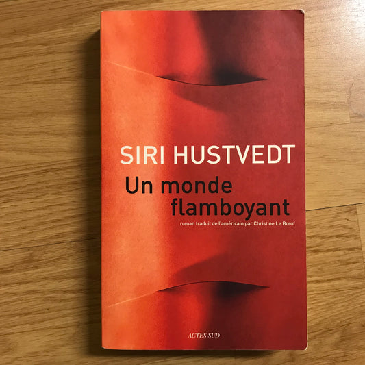 Hustvedt, Siri - Un monde flamboyant