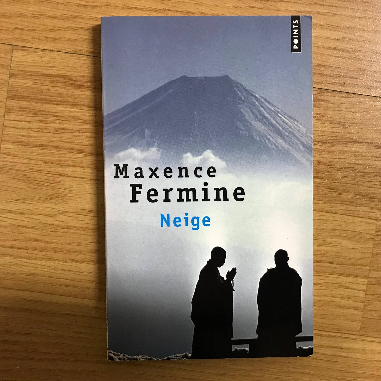 Fermine, Maxence - Neige