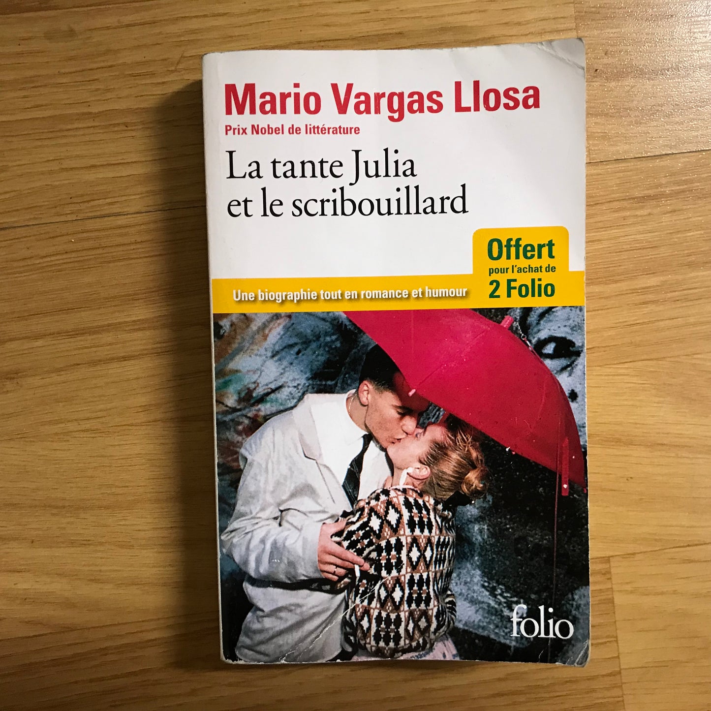 Vargas Llosa, Mario - La tante et le scribouillard
