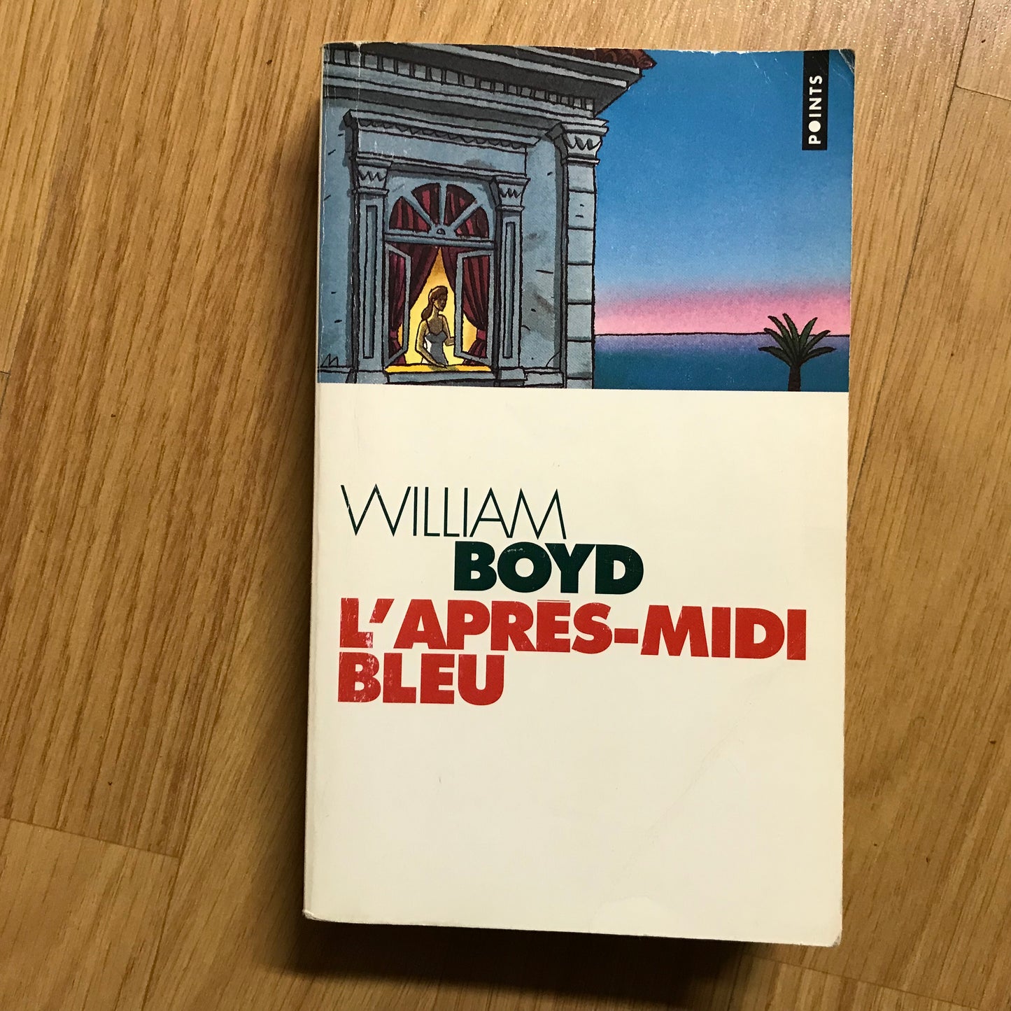 Boyd, William - L’après-midi bleu