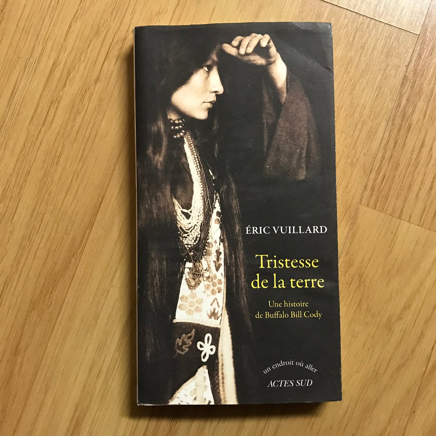 Vuillard, Eric - Tristesse de la terre