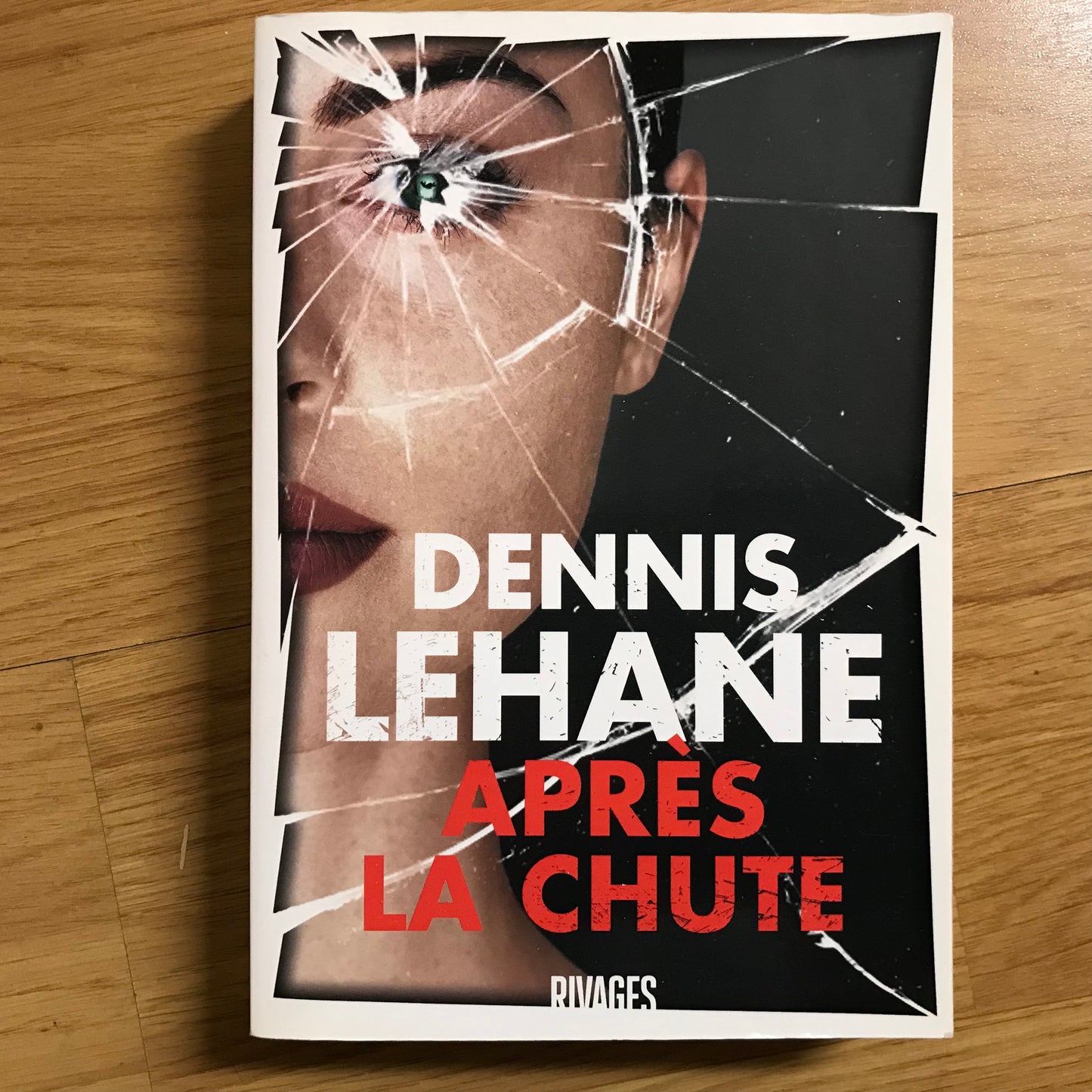 Lehane, Dennis - Après la chute