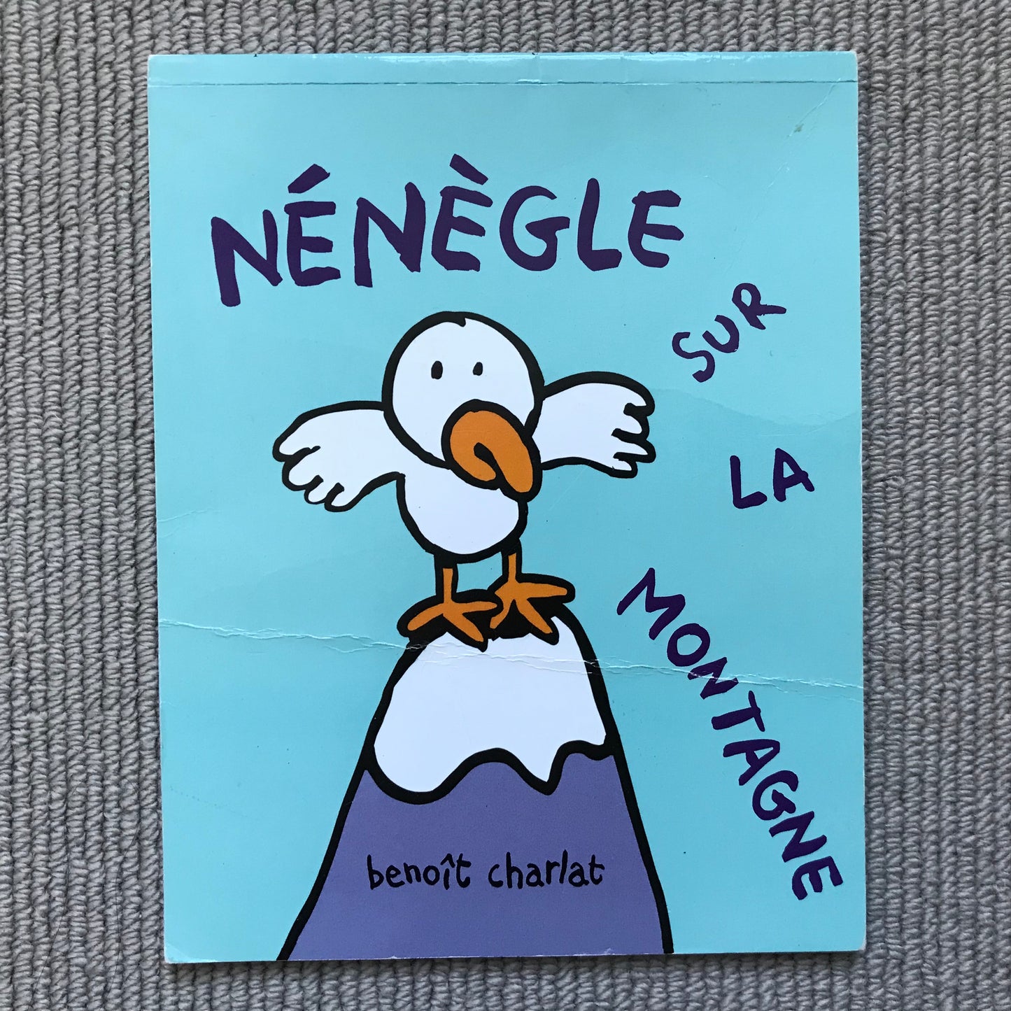 Nénègle sur la montagne - Benoît Charlat