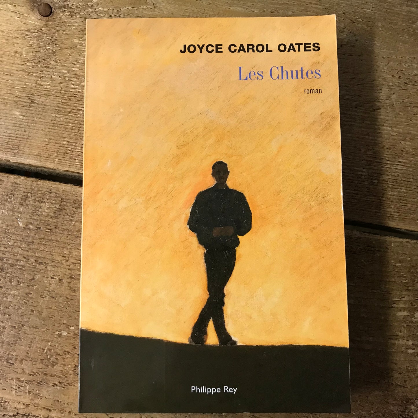 Oates, Joyce Carol - Les chutes