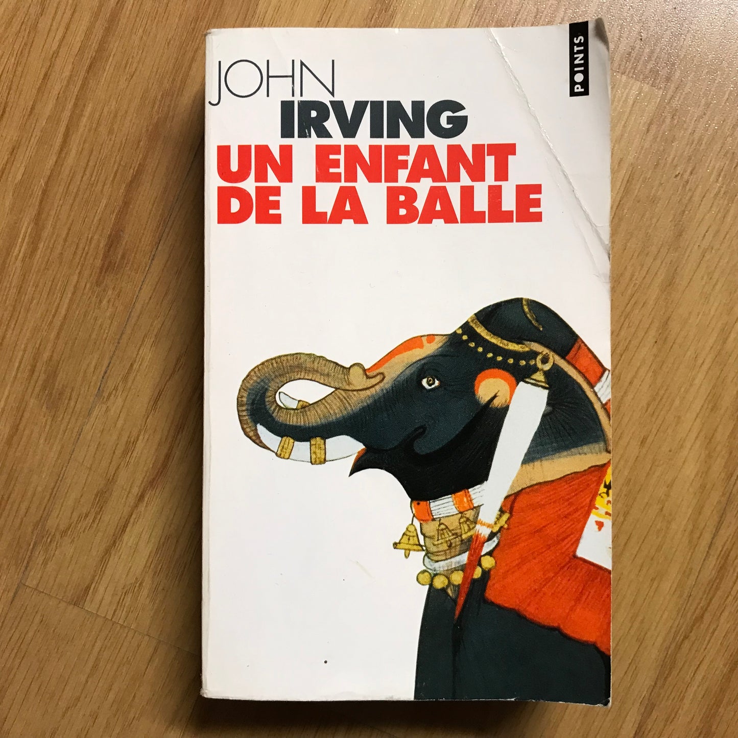 Irving, John - Un enfant de la balle