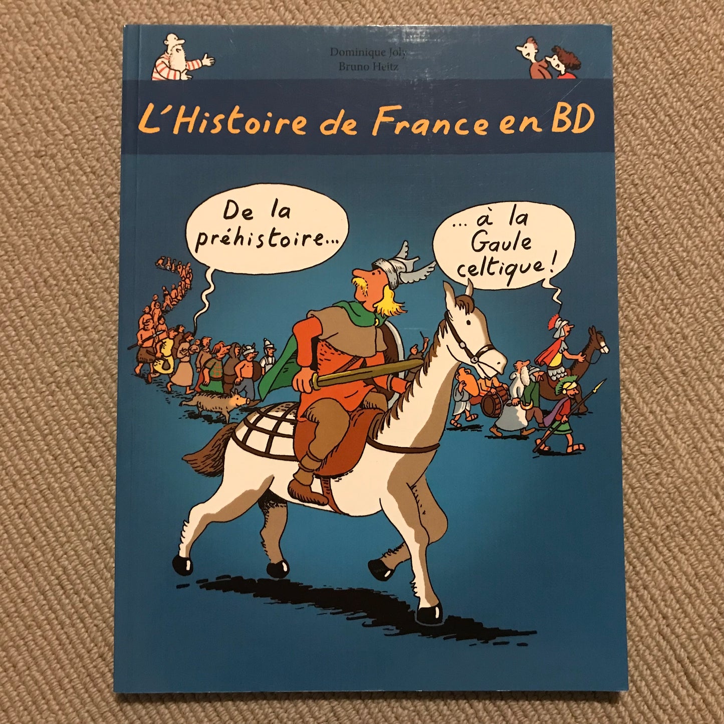 L’histoire de France en BD: De la préhistoire … à la Gaule celtique - Joly, D. & Heirtz, B.