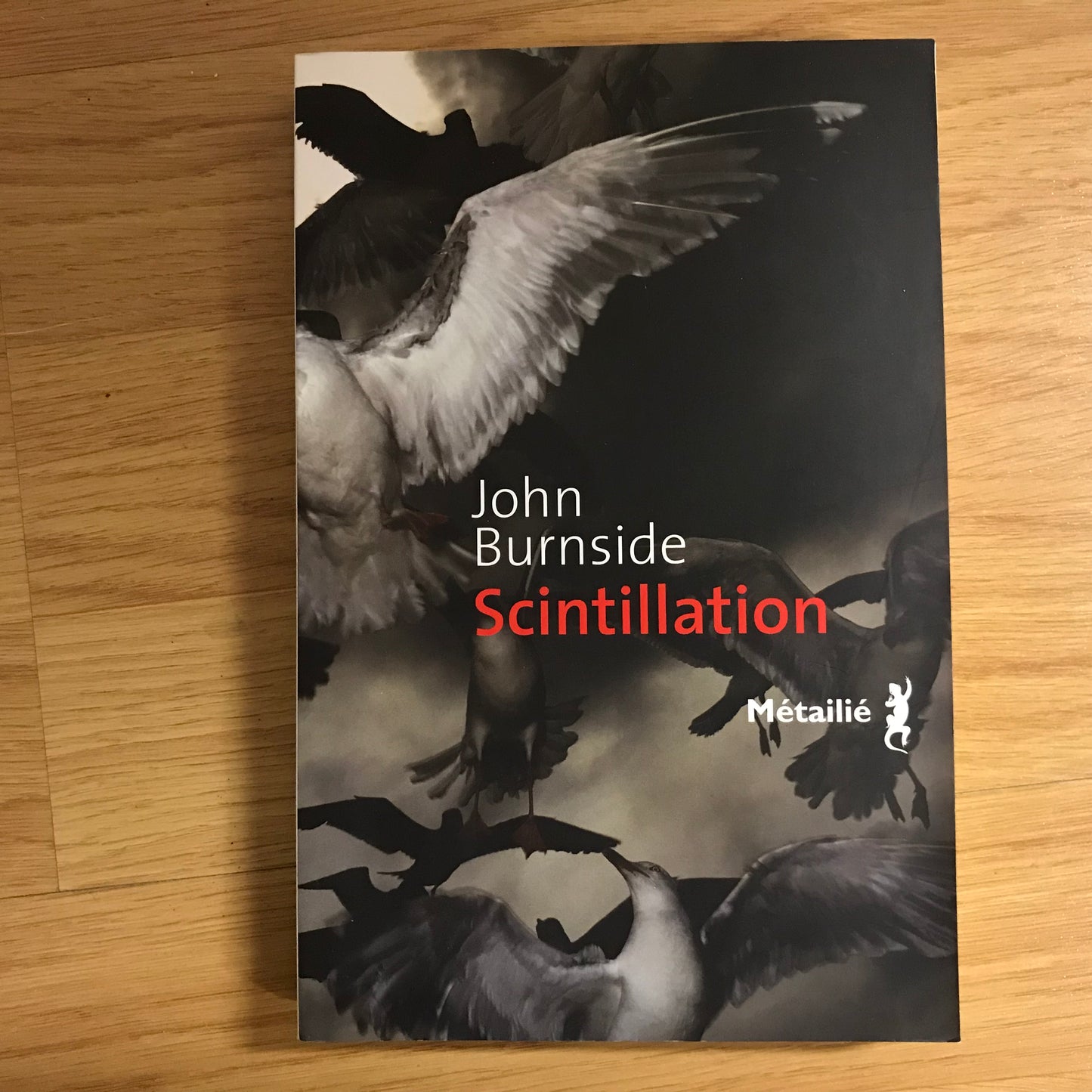 Burnside, John - Scintillation