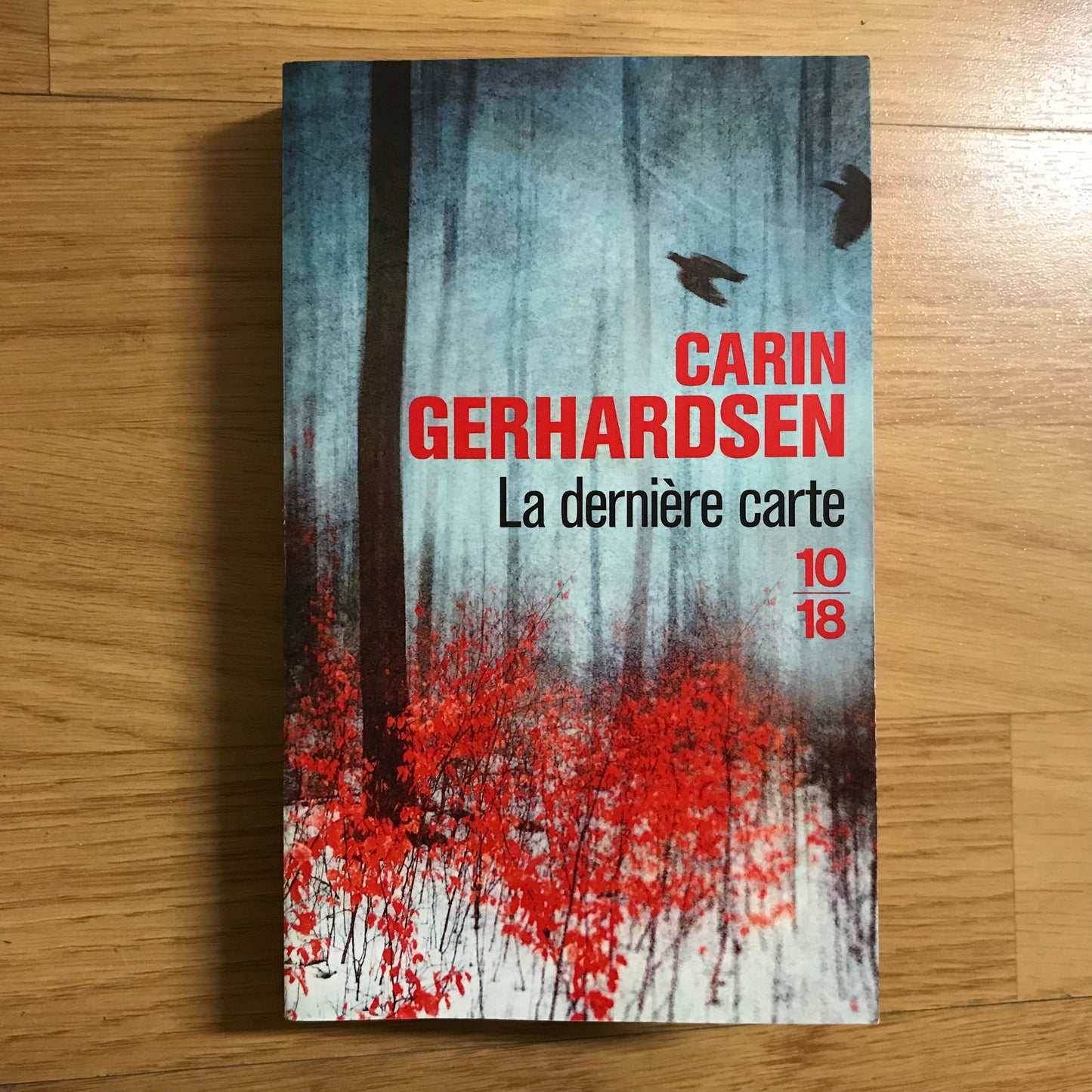 Gerhardsen, Carin - La dernière carte
