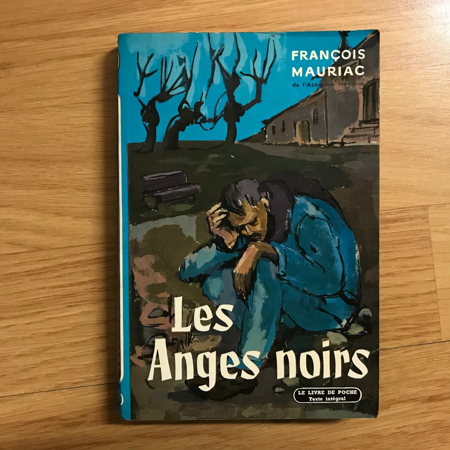 Mauriac, François - Les anges noirs